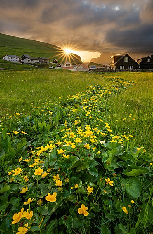 Gjógv village at sunrise, Eysturoy island, Faeroe islands, Denmark, Europe Gjógv village at sunrise, Eysturoy island, Faeroe islands, Denmark, Europe